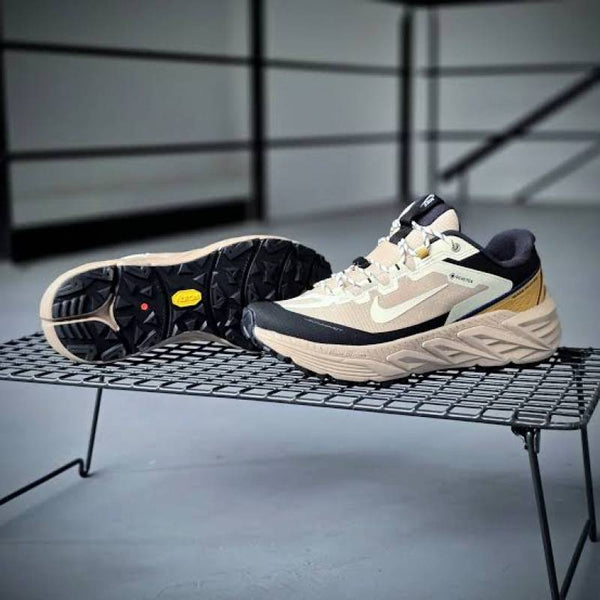 Nik.e Pegasus Trail 5 Gore Tex brown