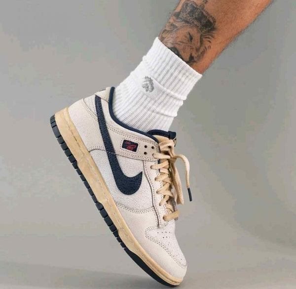 Nik ee Dunk Low Stranger Things Phantom
