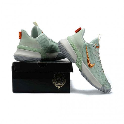 Nikee Lebron Ambassador 13 Empire Jade